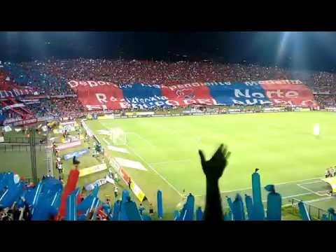 "La hinchada más fiel de Colombia." Barra: Rexixtenxia Norte • Club: Independiente Medellín • País: Colombia