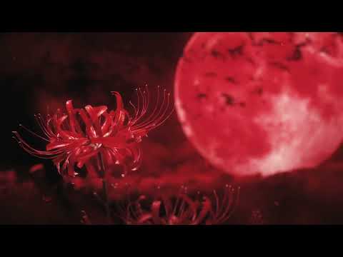 [50/50] Nioh 2 il Ritorno di Shyneez ed Ina [EP6]