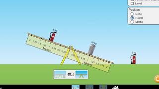 Balancing Act Simulation