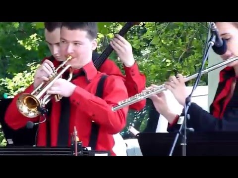 Zpívám své zpívání