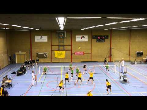 GeminiD1 TrivosD1 1e set1