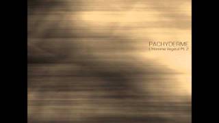 Pachyderme   I am a Stegosaurus (Dècollage Remix) [L' Homme Végétal Part. 2 EP]