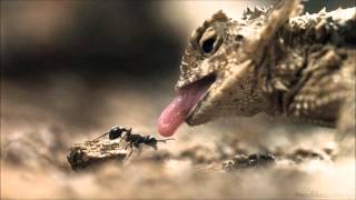 Destiny Lab "THE EVIDENCE"