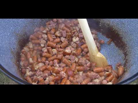 Zilele comunei Moldovenești