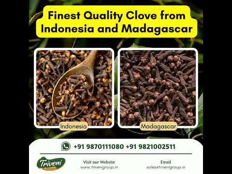Maida natural whole dry clove, packaging size: 50 kg