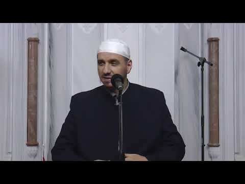 03. Rregulloji raportet - Enis Rama