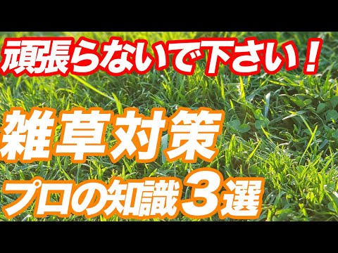 庭でおがくずを使用するにはどうすればよいですか？びっくりする実用的な使い方4つ！  庭園