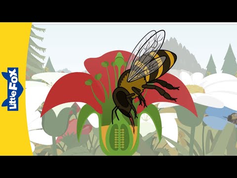 How Worker Bees Make Honey | Stories for Kindergarden