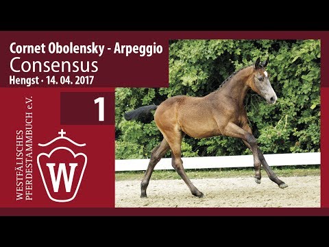 01 Consensus  Hengst v. Cornet Obolensky - Arpeggio