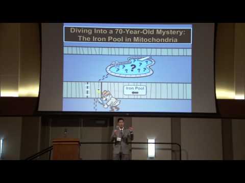 Michael Moore (Chemistry) in 2016-2017 3MT Final Competition