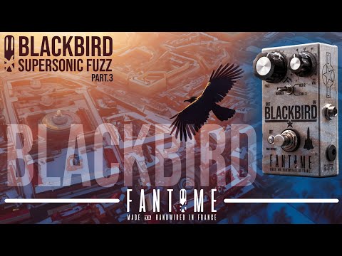 FANTOME Blackbird (Supersonic fuzz) image 11