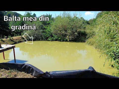 My garden pond - How much did it cost me to build the lake 🤔 + The small pond of raptors
