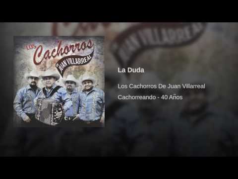 Los Cachorros de Juan Villareal - La Duda
