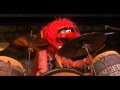 Animal The Best Drummer Of All Time