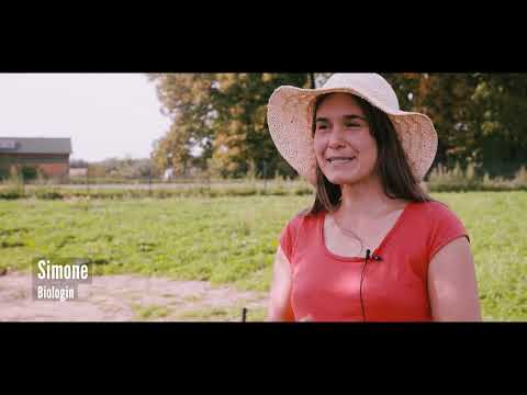 Einen Lehmbackofen bauen mit Berhnard Gruber