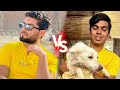 Samad vs Waleed 😁 who is winner 🏆        sw pet house 🆚 Samad pets vlog