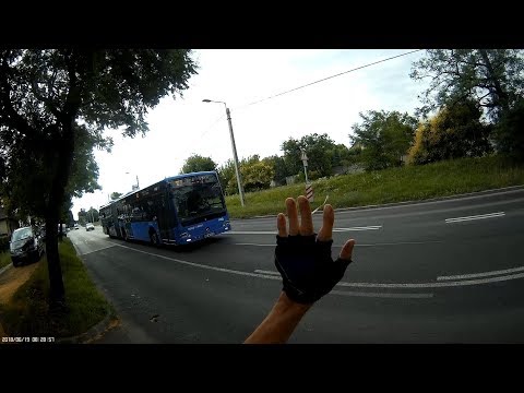 Elengedem a buszokat - I let the buses go