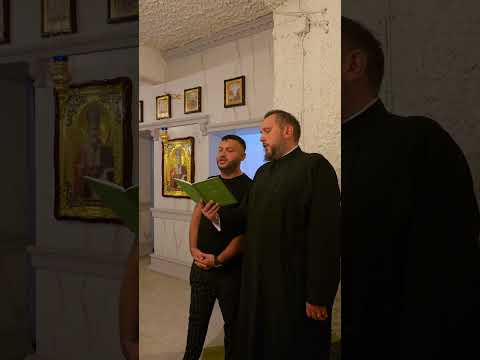 ❌️Parintele Mirel Ivan impreuna cu ❌️Willy de la Oradea, cantare catre Nascatoare de Dumnezeu