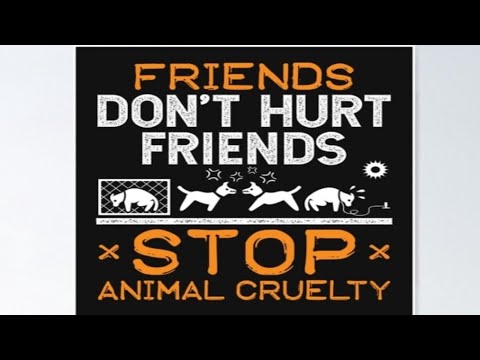 Tanya Z - Kyle8769 Throw His Dog.