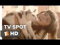 The Diary of a Teenage Girl TV SPOT - My Life ...