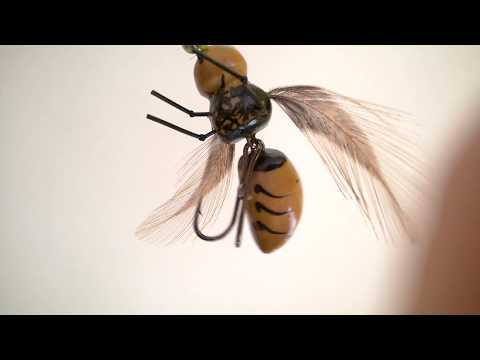 Osa przegubowa na klenie i jazie.