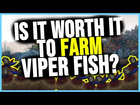 Is It WORTH IT To Farm Viper Fish? | Patch 8.3 Gold Making