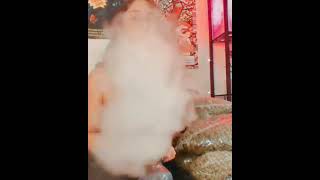 Download lagu Girls Smoking Bong @smokingbaba #bonggirl #smoke #gaja mp3