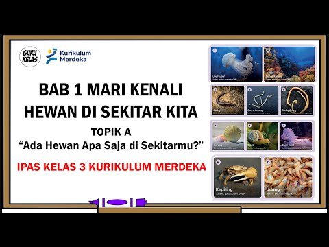 BAB 1 MARI KENALI HEWAN DISEKITAR KITA (TOPIK A Ada Hewan Apa Saja di Sekitarmu?)
