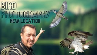 Download lagu BIRD PHOTOGRAPHY | Ontario, CANADA | Tommy Thompson Park | Birds of Prey | Canon R3 & RF 100-500mm mp3