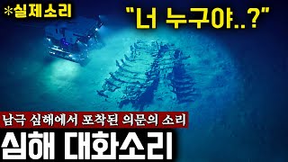남극 심해에서 포착된 "정체불명" 괴생명체의 대화소리.. 수중 지적 생명체일까? [심해 대화소리] | 미스터리
