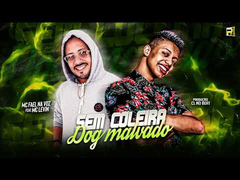 MC FAEL NA VOZ FEAT MC LEVIN - SEM COLEIRA MALVADO ( REMIX BREGA FUNK )