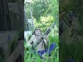 Led Zeppelin - Kashmir (Sitar cover)