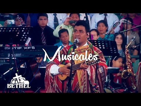 PRONTO REGRESARÁ - CANTO Y FORTALEZA  I BETHEL TELEVISION