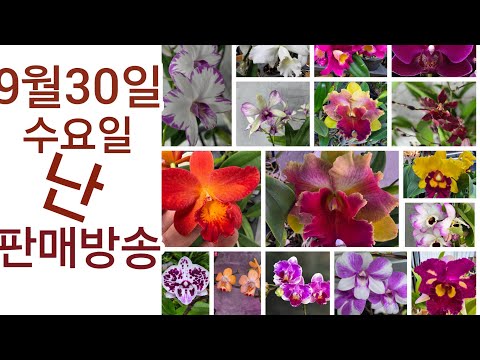 상품 소개 영상