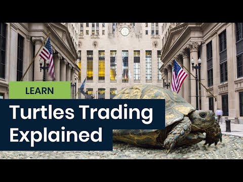 Turtles Trading Strategy Explained - COMPREHENSIVE