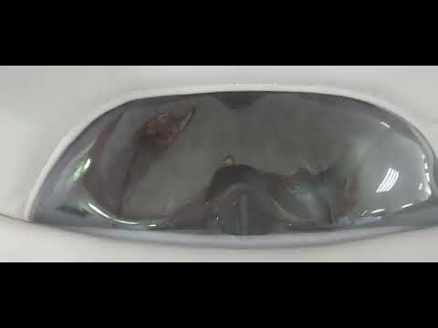 фото коляска adamex zico eco 2в1/3в1. сухарево. гарантия. 0