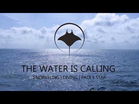 Manta Scuba Dive & Snorkel Cancun Miniatura de video de YouTube 10