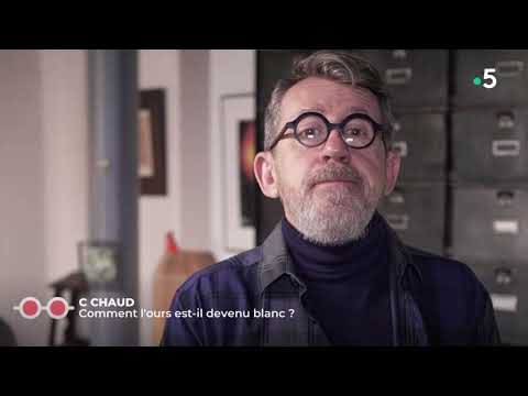 La Sélection Naturelle expliquée par Jamy !