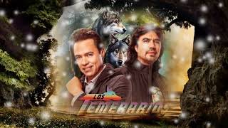 ERES MI GRAN ILUSIÓN LA MUJER QUE QUIERO - LOS TEMERARIOS (serge djbcmx)