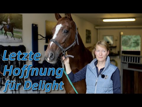 Letzte Hoffnung Ariane Telgen - Delight ist zum Headshaker geworden und keiner kann ihr helfen