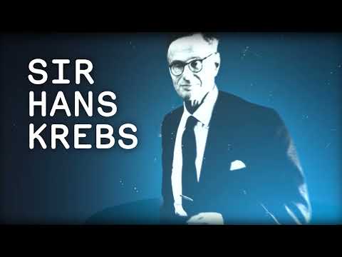An Introduction to Sir Hans Krebs