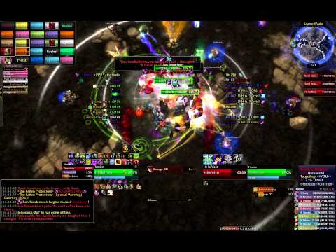 YOLOTanking - Fallen Protectors (25 Heroic)