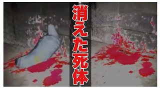 【海外ホラーゲーム】消えた死体が最後にまさかの、、！暗い路地をあてもなく彷徨い続けるホラーゲームが怖い（プレイ動画）【Alleyway】