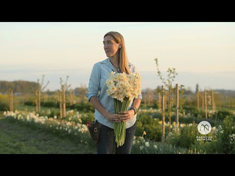 The Flower Growing Guide - Official Trailer | Workshops | Magnolia Network