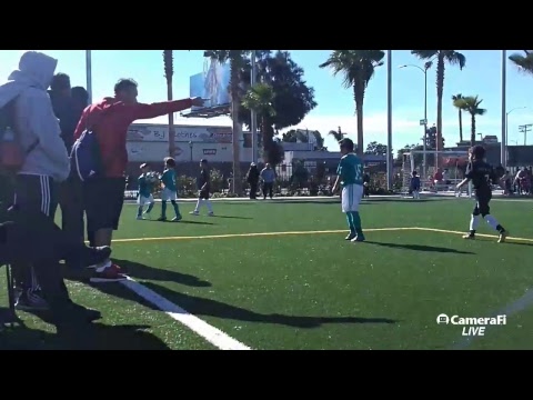 Vermont Sport Club Soccer League (1t./final/cat.2011) Gallitos FC.  vs.  Falcons