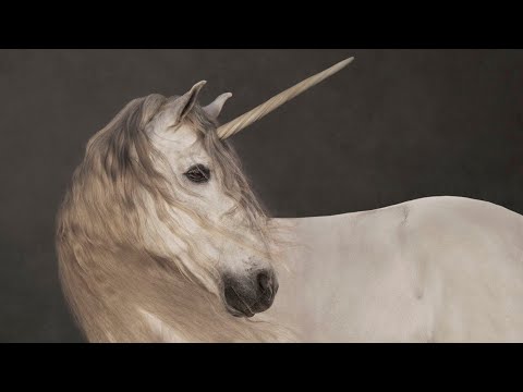 Einhorn. Das Fabeltier in der Kunst (25. Oktober 2025 – 1. Februar 2026) I Museum Barberini, Potsdam