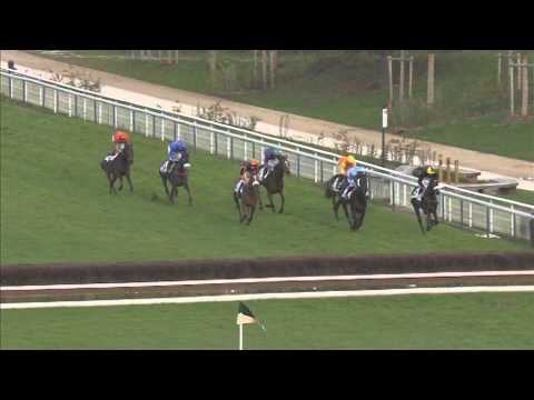 Libranous Prix Sytaj (GR3) 4300m Auteuil 10/11/2013