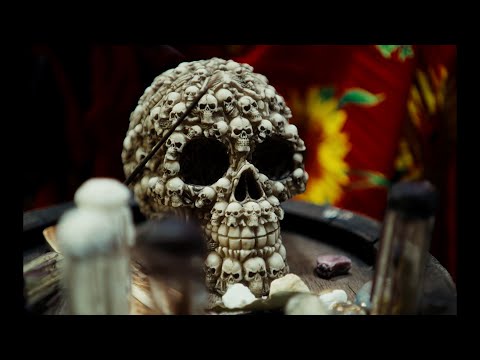 BELANO x BSW - BULLSHIT