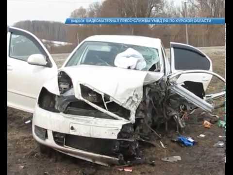 На курских дорогах в результате ДТП погибли 95 человек