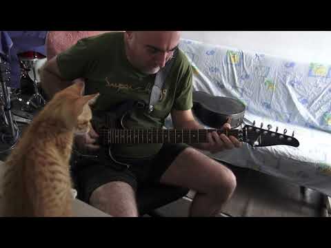 Johnny Hallyday tribute practice with Kemper - and cats